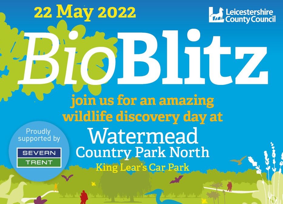 BioBlitz at Watermead North Country Park