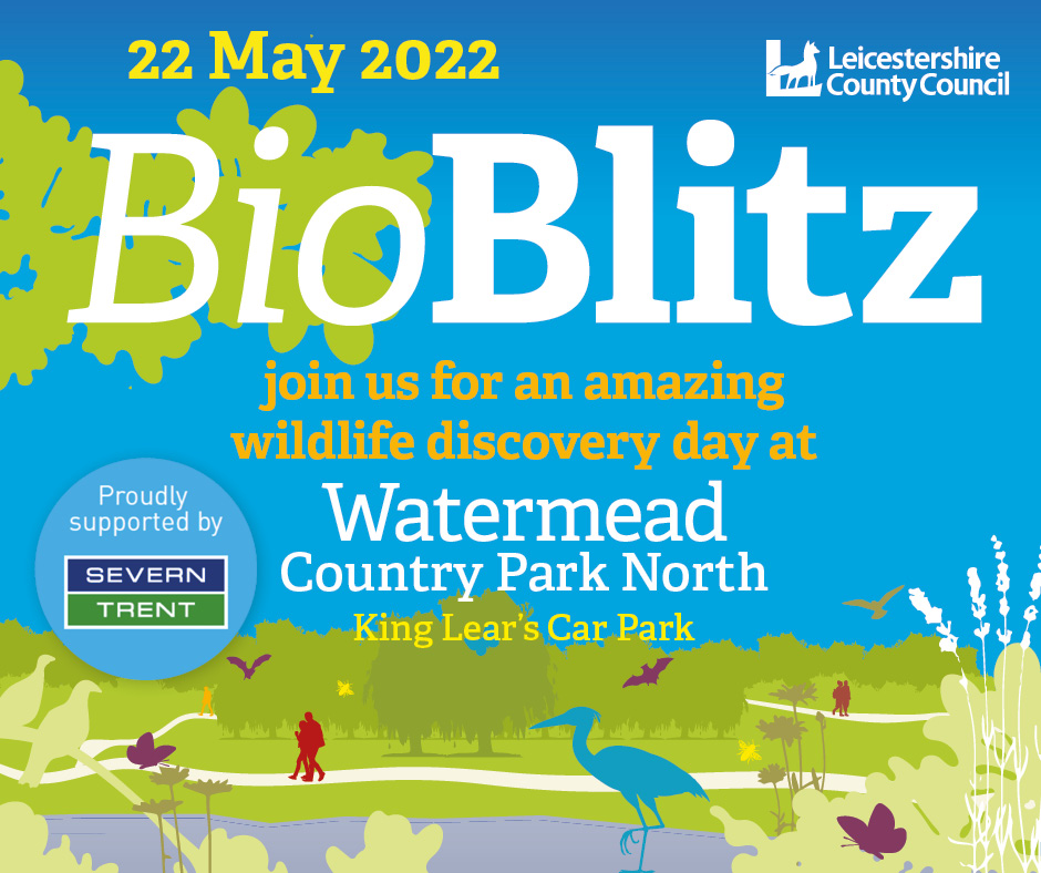 BioBlitz at Watermead Country Park North on 22 May 2022