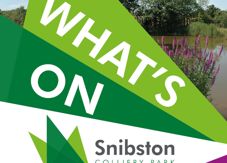 What’s on at Snibston Colliery Park
