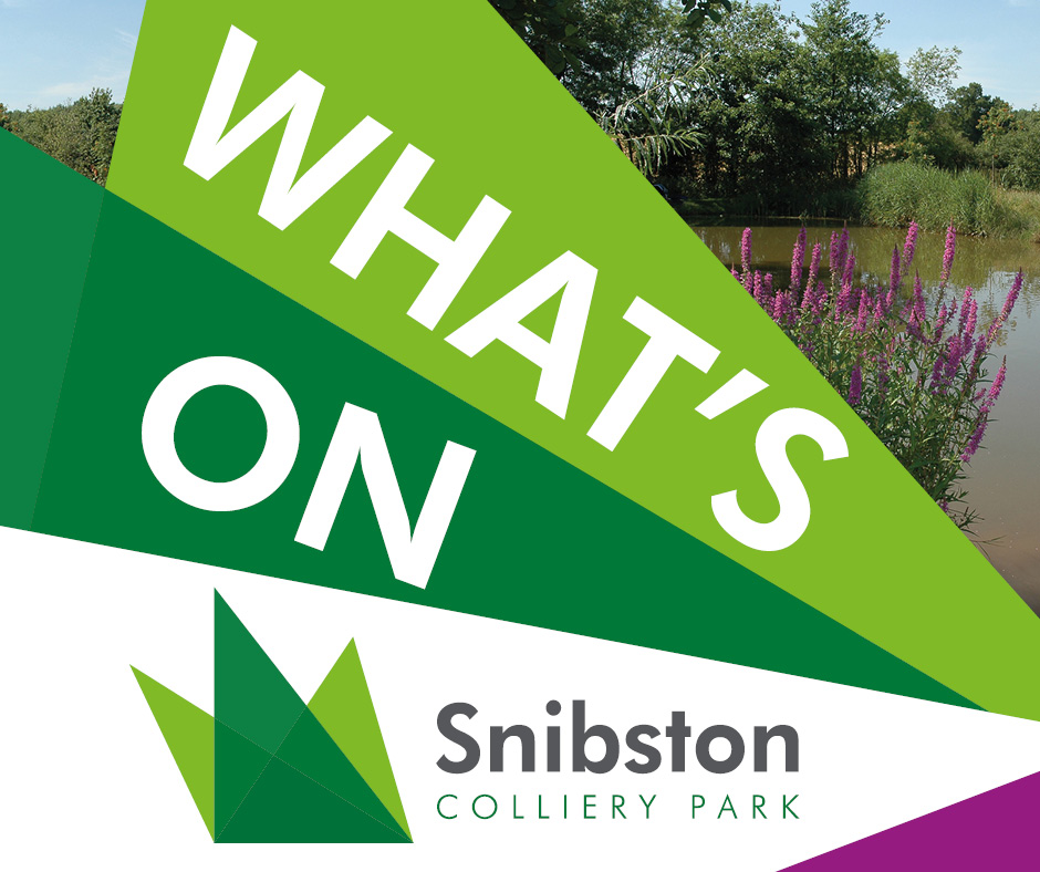 What's on at Snibston Colliery Park
